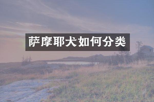 萨摩耶犬如何分类