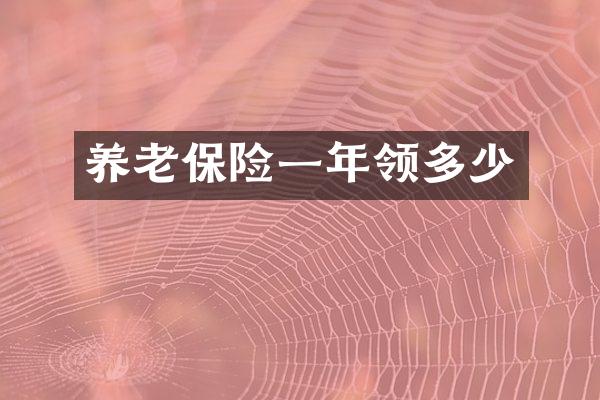 养老保险一年领多少
