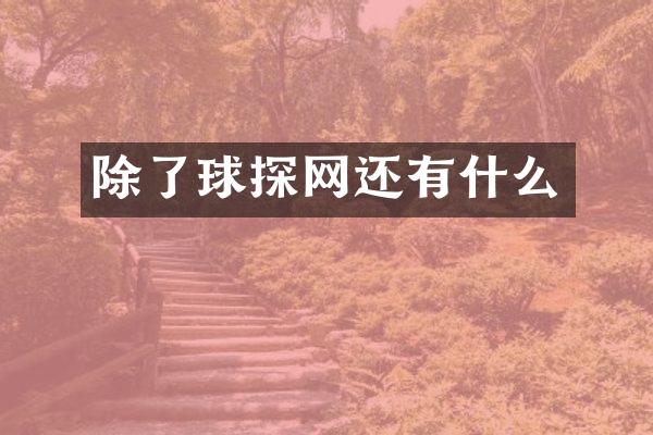 除了球探网还有什么