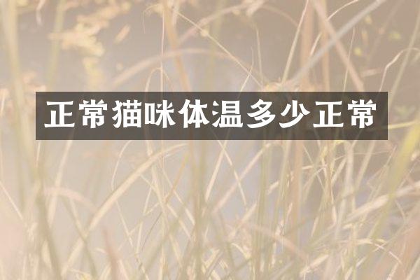 正常猫咪体温多少正常