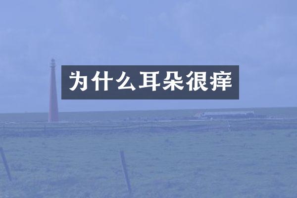 为什么耳朵很痒