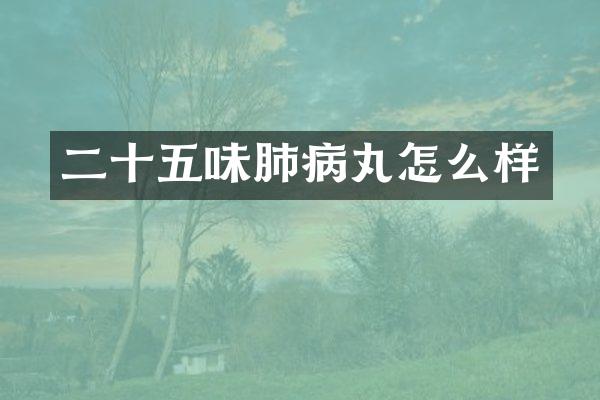二十五味肺病丸怎么样