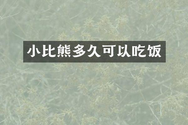 小比熊多久可以吃饭