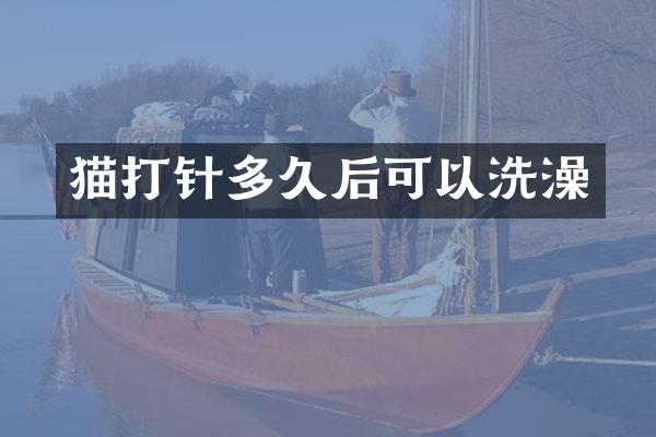 猫打针多久后可以洗澡