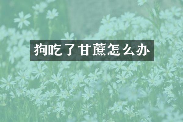 狗吃了甘蔗怎么办