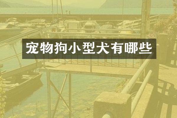 宠物狗小型犬有哪些