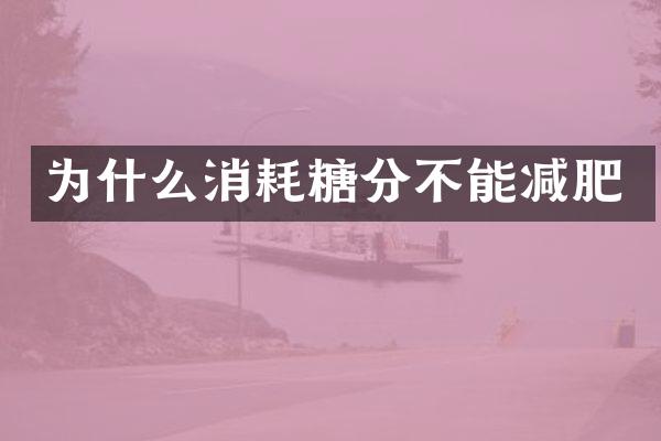 为什么消耗糖分不能减肥