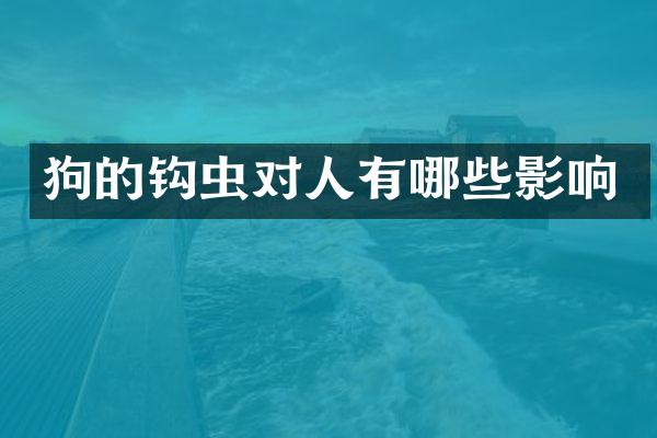 狗的钩虫对人有哪些影响