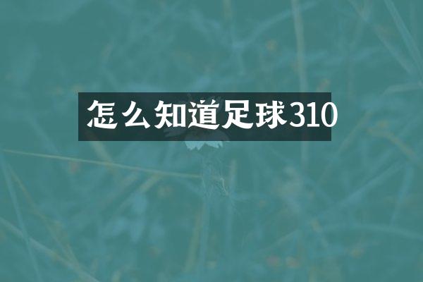 怎么知道足球310