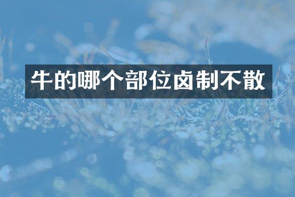牛的哪个部位卤制不散