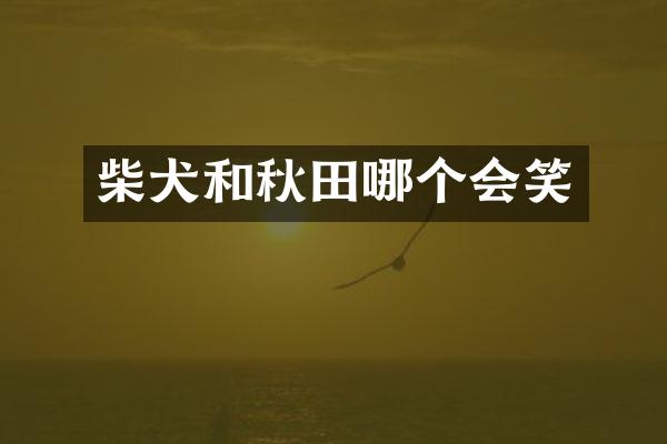 柴犬和秋田哪个会笑