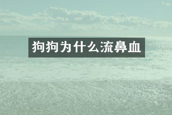 狗狗为什么流鼻血