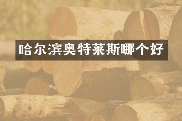 哈尔滨奥特莱斯哪个好