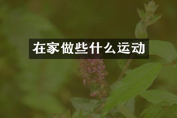在家做些什么运动