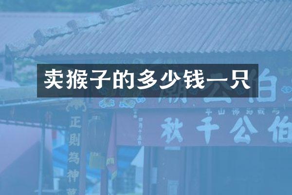 卖猴子的多少钱一只