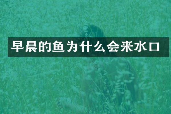 早晨的鱼为什么会来水口
