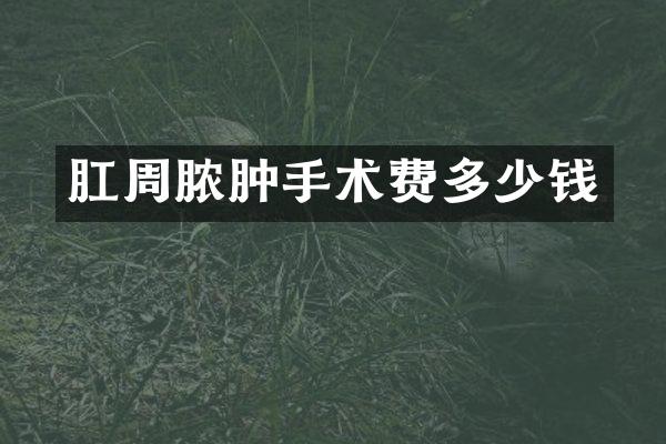 肛周脓肿手术费多少钱