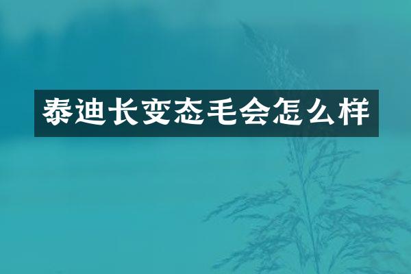 泰迪长变态毛会怎么样