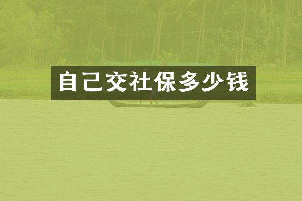 自己交社保多少钱
