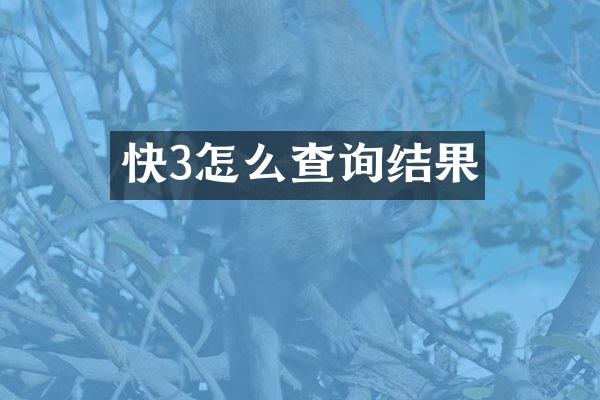 快3怎么查询结果