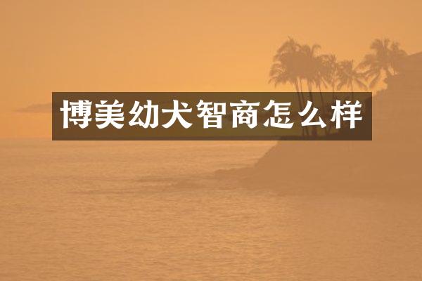 博美幼犬智商怎么样