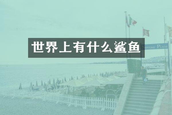 世界上有什么鲨鱼