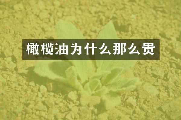 橄榄油为什么那么贵