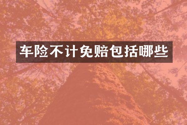 车险不计免赔包括哪些