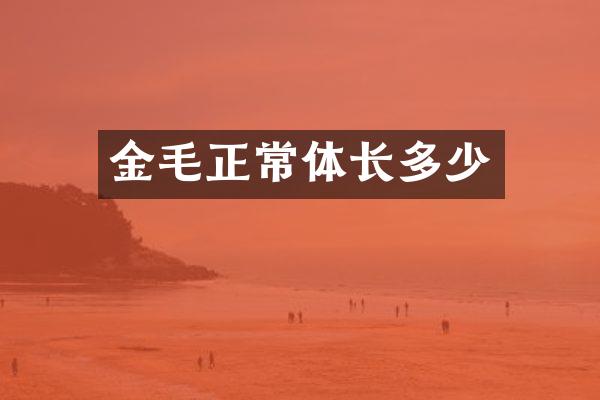 金毛正常体长多少