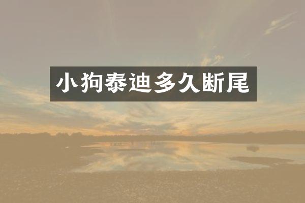 小狗泰迪多久断尾
