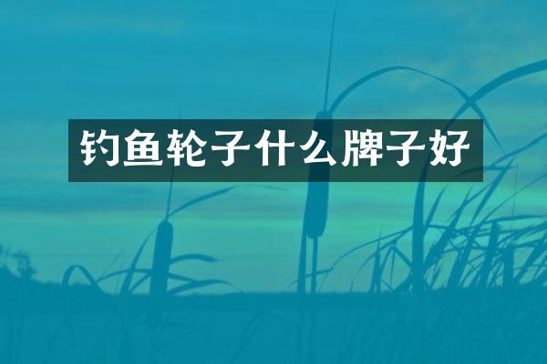 钓鱼轮子什么牌子好