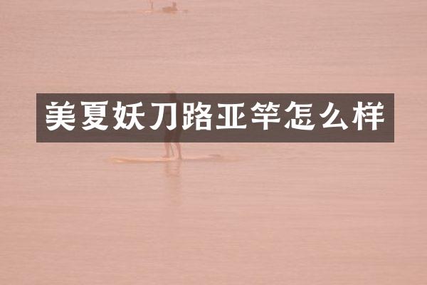美夏妖刀路亚竿怎么样