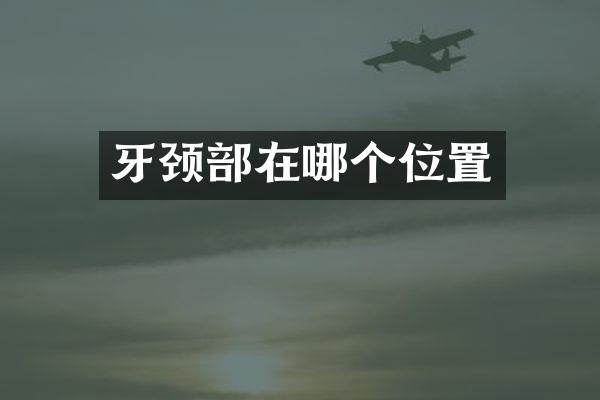 牙颈部在哪个位置