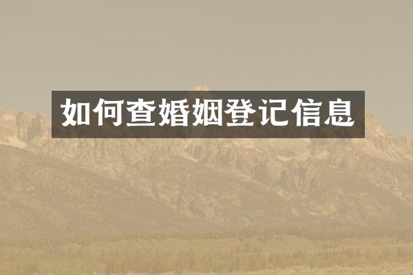 如何查婚姻登记信息