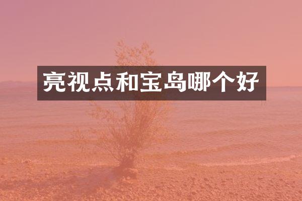 亮视点和宝岛哪个好
