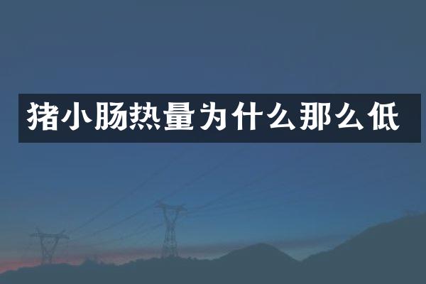 猪小肠热量为什么那么低