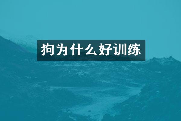 狗为什么好训练
