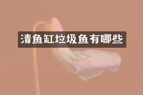 清鱼缸垃圾鱼有哪些