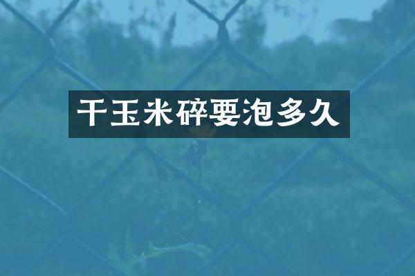 干玉米碎要泡多久