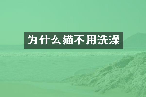 为什么猫不用洗澡