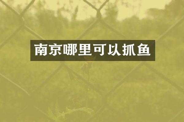 南京哪里可以抓鱼