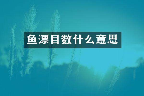 鱼漂目数什么意思