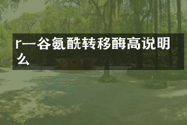 r一谷氨酰转移酶高说明什么