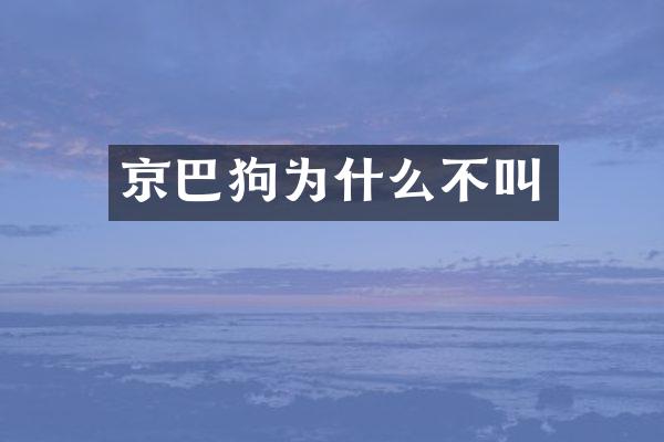 京巴狗为什么不叫