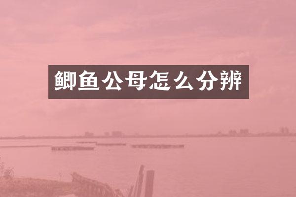 鲫鱼公母怎么分辨
