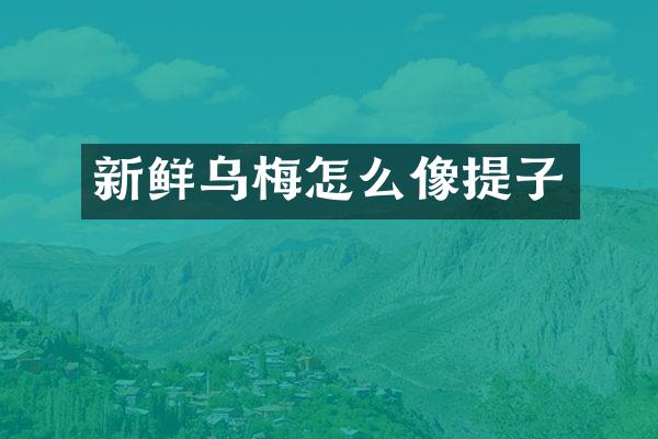 新鲜乌梅怎么像提子