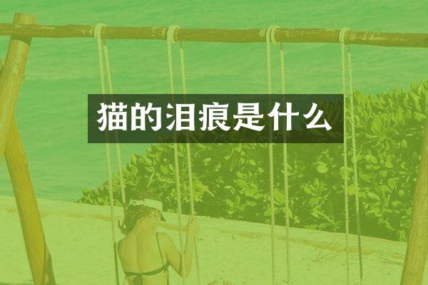 猫的泪痕是什么