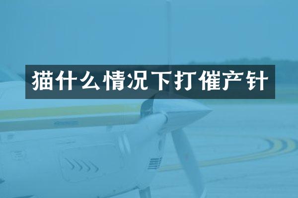 猫什么情况下打催产针