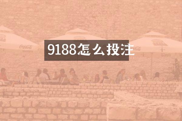 9188怎么投注