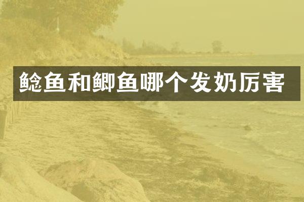 鲶鱼和鲫鱼哪个发奶厉害